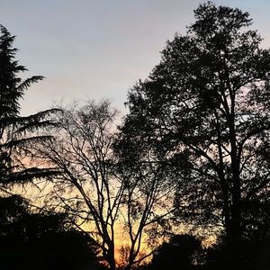 Meet your Posher, Niapiabia